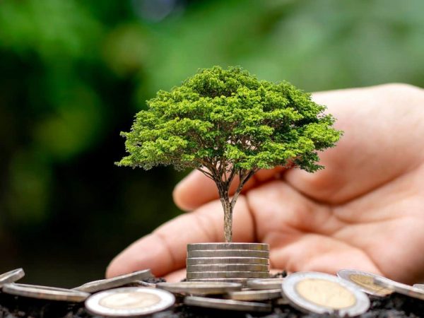 Nachhaltige Immobilien in Deutschland - Ein Leitfaden für Käufer und Verkäufer(3)